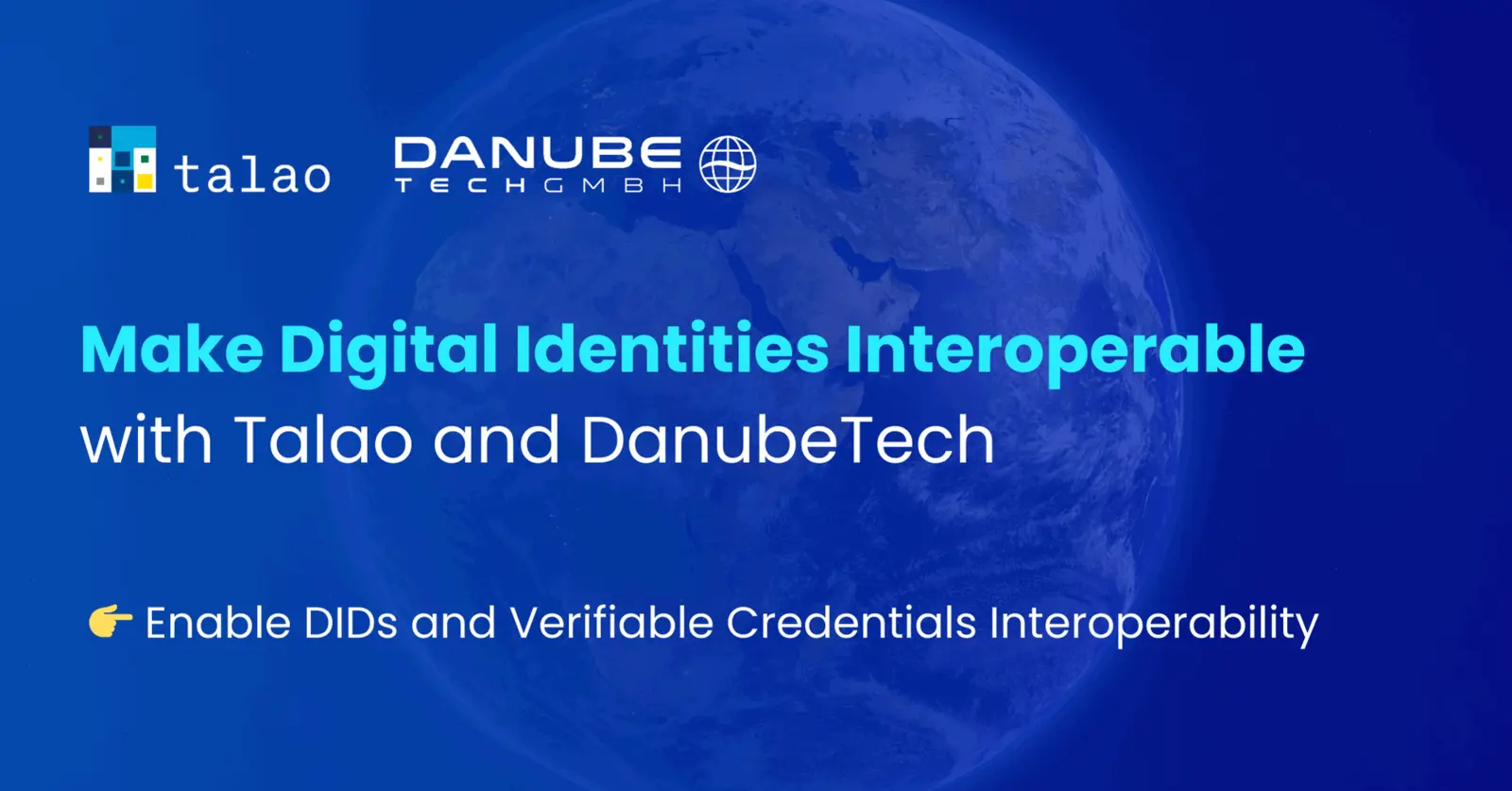 Talao-Danube Tech Partnership